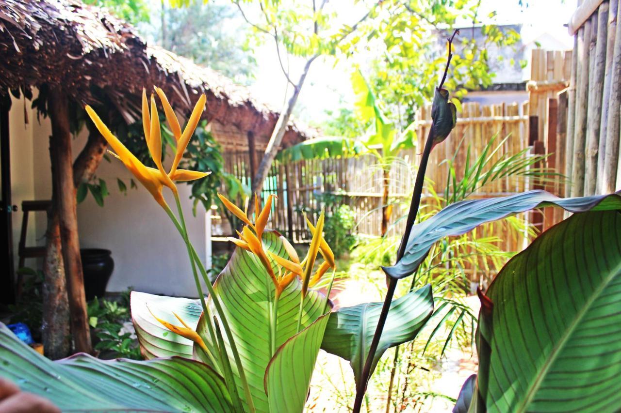 An Bang Purple Homestay Hoi An Exteriör bild