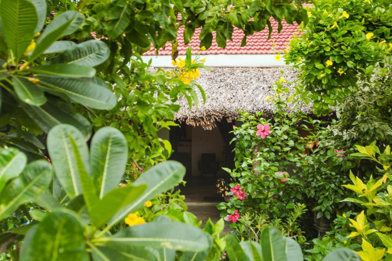 An Bang Purple Homestay Hoi An Exteriör bild